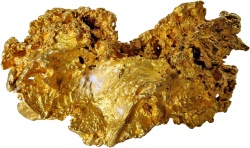 金金币素材