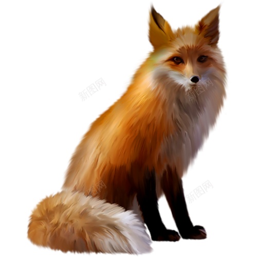 狐狐狸png免抠素材_新图网 https://ixintu.com 狐 狐狸