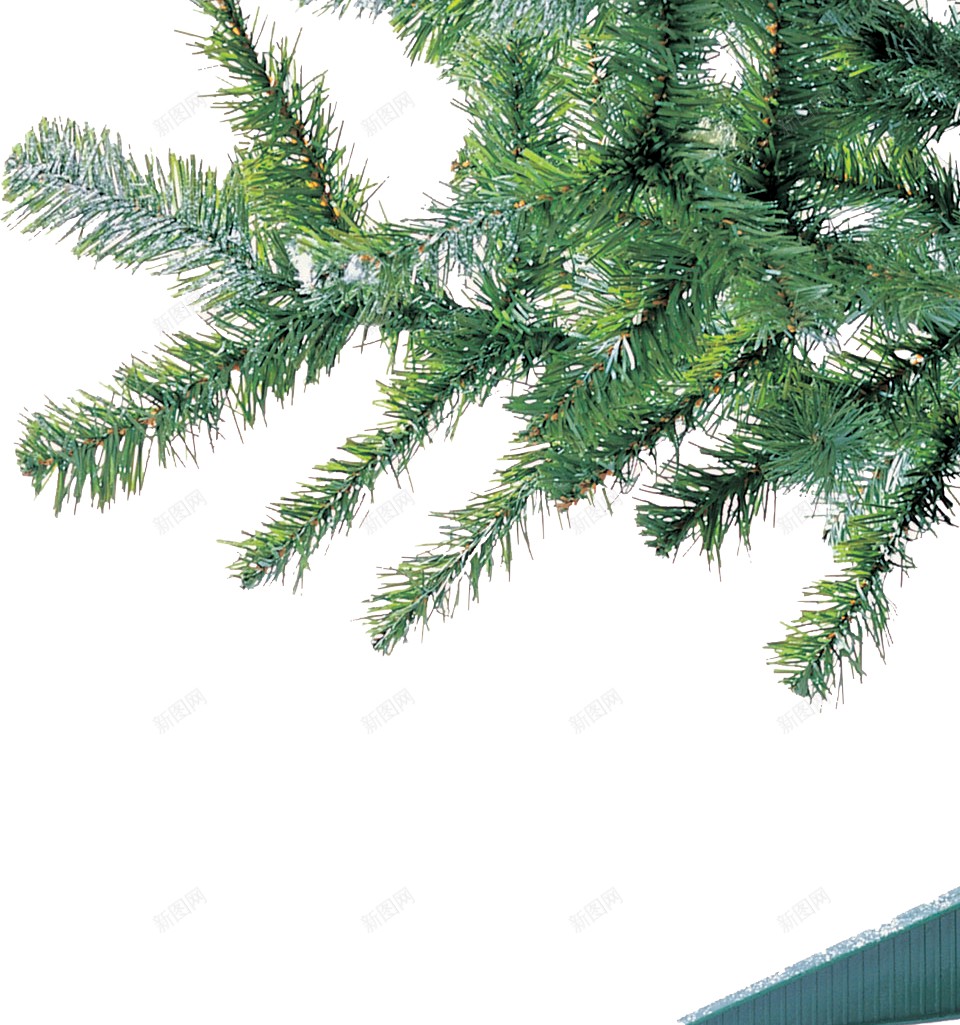 卡通霜雪圣诞树png免抠素材_新图网 https://ixintu.com 圣诞树 圣诞节 采油树 卡通的松树 卡通霜雪树  寒冷 