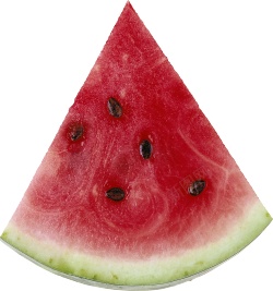 西瓜素材