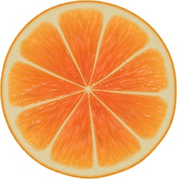 橙子柑橘素材