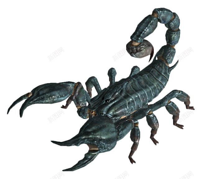 蝎子scorpion的复数png免抠素材_新图网 https://ixintu.com scorpion的复数 蝎子