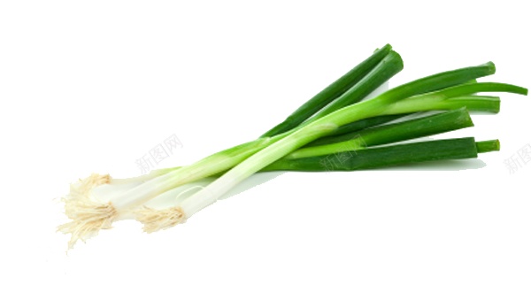 新鲜的青蒜青蒜苗蒜苔图片png免抠素材_新图网 https://ixintu.com    青蒜 青蒜苗 新鲜 蒜苔 蒜苗 蔬菜