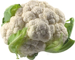 新鲜的蔬菜白花菜图片素材