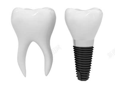 tooth的复数png免抠素材_新图网 https://ixintu.com tooth的复数