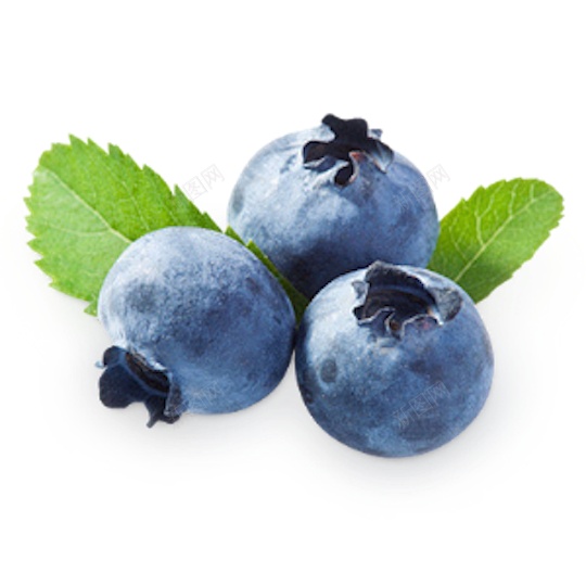 越橘蓝色浆果蓝莓blueberry的复数png免抠素材_新图网 https://ixintu.com blueberry的复数 越橘蓝色浆果蓝莓