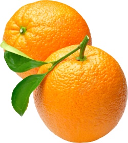 橙子柑橘素材