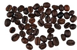 咖啡豆coffeebean的复数素材