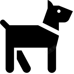 狗犬素材