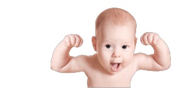 婴儿动物幼崽素材