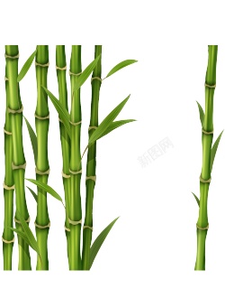 竹竹子素材