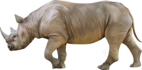 同rhinoceros犀犀牛png免抠素材_新图网 https://ixintu.com 同rhinoceros 犀犀牛