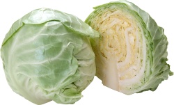 甘蓝卷心菜素材