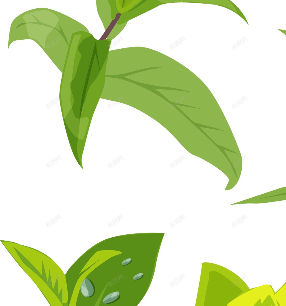 绿叶绿色的树叶png免抠素材_新图网 https://ixintu.com 绿叶 绿色的树叶