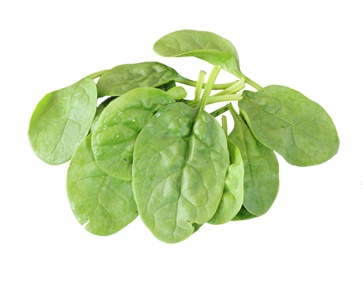 菠菜png免抠素材_新图网 https://ixintu.com 菠菜