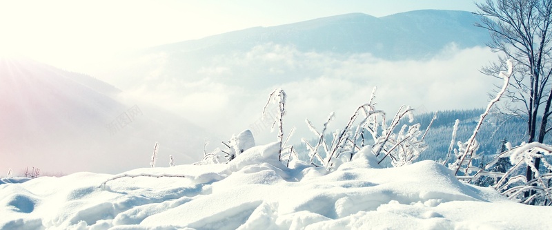 冬季psd_新图网 https://ixintu.com 冬季 摄影 海报banner 白色 雪 风景