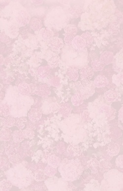 粉红花海花海背景高清图片