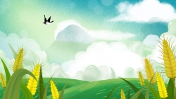 立夏24节气夏天立夏二十四节气燕子麦子麦田高清图片