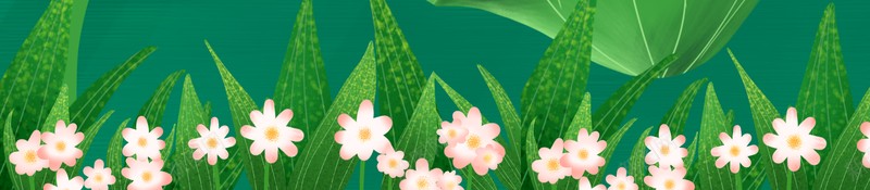夏至西瓜荷花荷叶花朵psd设计背景_新图网 https://ixintu.com 夏至 花朵 荷叶 荷花 西瓜