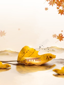 秋天立秋树叶水面秋季背景背景