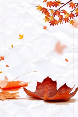 秋天立秋背景边框树枝树叶背景