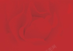 红花朵红色背景红背景高清图片
