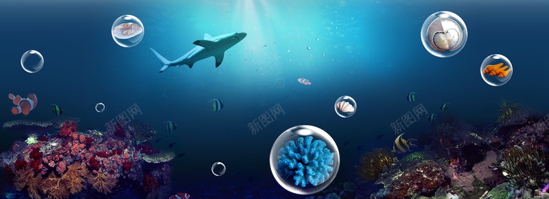 化妆品活动bannerpsd设计背景_新图网 https://ixintu.com 海洋 海豚 活动 化妆品 珊瑚 海报banner