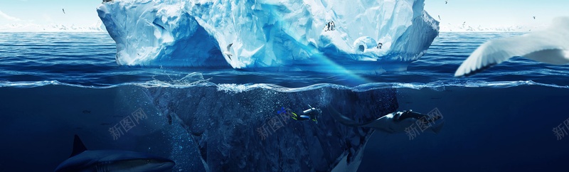 高清海底背景jpg设计背景_新图网 https://ixintu.com 冰山 海洋 海报banner 摄影 风景