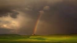 绿地背景彩虹雨后阴天绿地高清图片