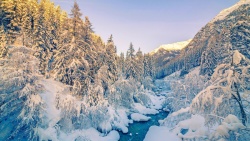 朝阳朝霞唯美冬季雪松海报背景图高清图片