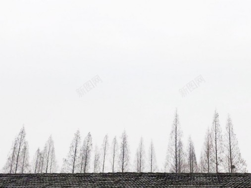 摄影图背景
