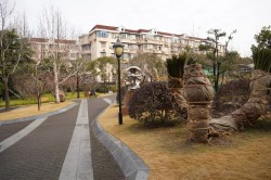公园道路公园道路高清图片
