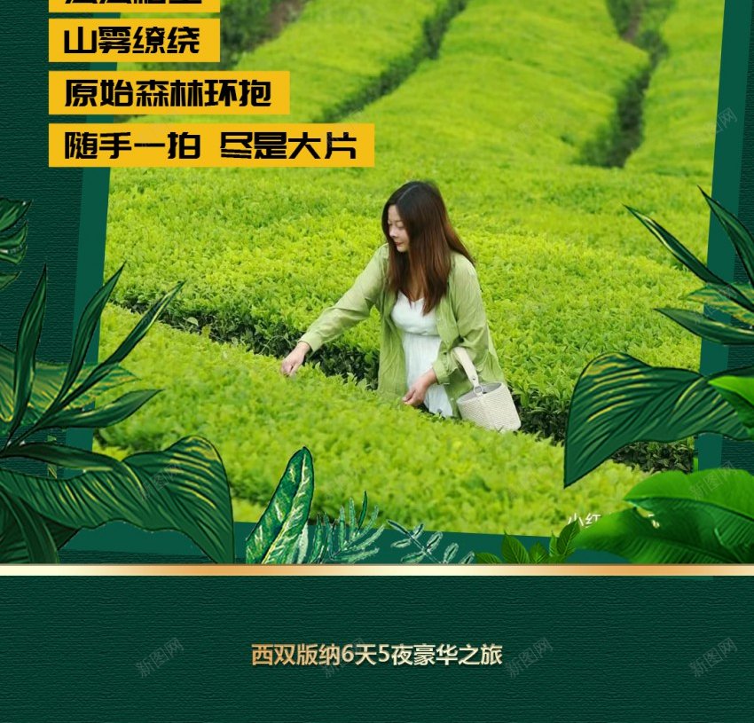 旅游海报jpg_新图网 https://ixintu.com 万亩 茶园 旅游 茶园茶