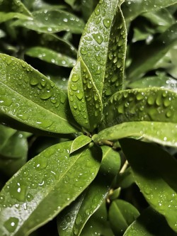 风景高清图片