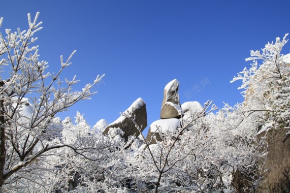 安徽安庆天竺山雪景图片第9张摄影图片
