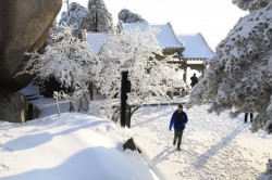 7张安徽安庆天竺山雪景图片第7张高清图片