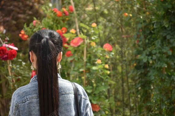 森系背影情感摄影图片