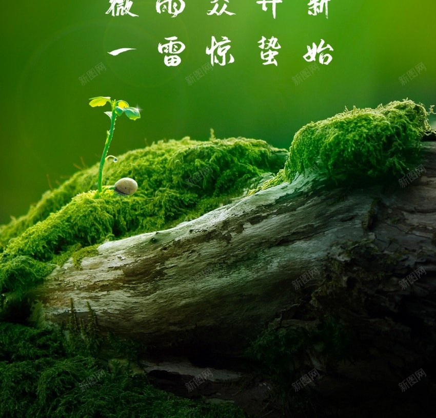 春天惊蛰节气海报设计psd_新图网 https://ixintu.com 原创海报 发芽 惊蛰 春天发芽 春天节气 海报 燕子 节气