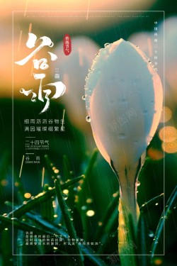 时尚谷雨节气海报海报