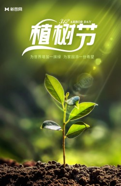 绿色植物312植树节海报设计高清图片