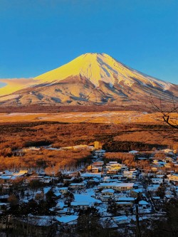 雪景素材富士山下高清图片