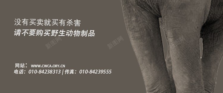 保护动物公益手机海报psd_新图网 https://ixintu.com 保护动物 公益 公益海报 原创海报 大象 手机 海报