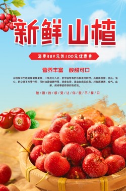 透明图新鲜山楂海报图高清图片