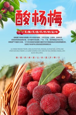 红色气泡新鲜杨梅夏季水果果园促销海报高清图片