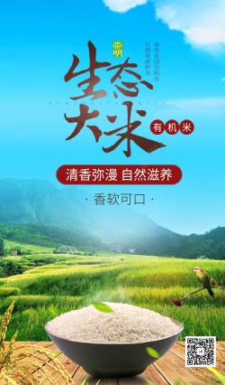 米饭快餐车时尚生态大米粮食海报海报