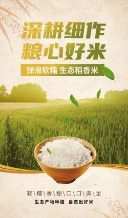 大米粮食促销海报高清图片
