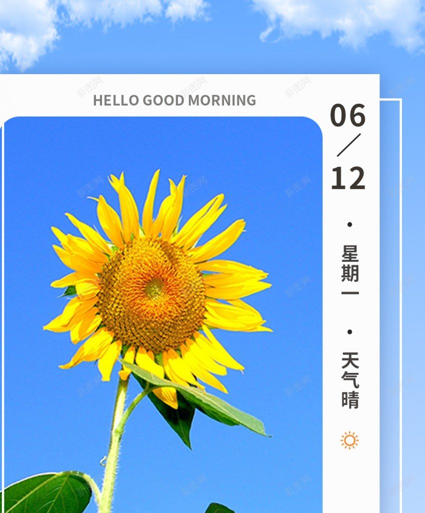 向日葵日签长屏海报psd_新图网 https://ixintu.com 向日葵 每日 一签 你好早安 每日一签 清新 长屏海报 手机海报