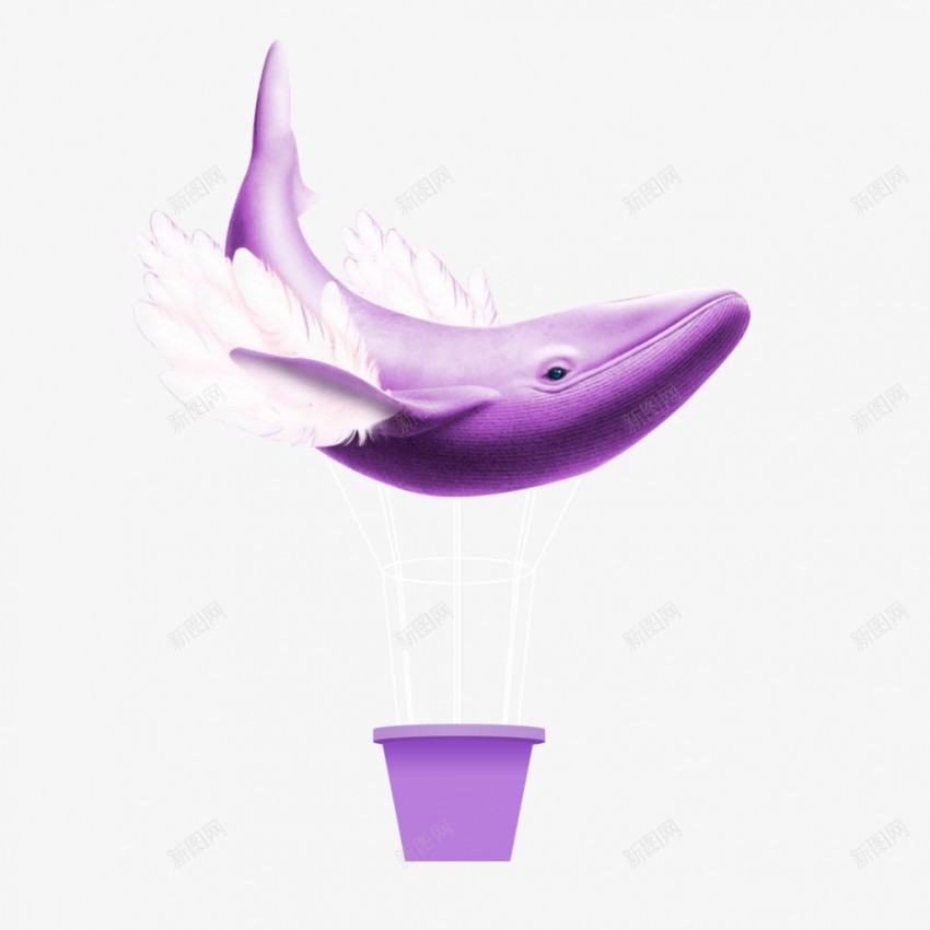 鲸鱼插画png免抠素材_新图网 https://ixintu.com 鲸鱼 紫色 水桶