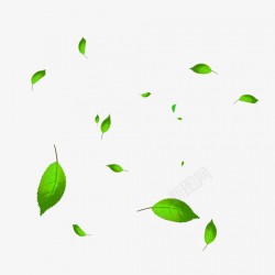 卡通绿色植物端午节树叶素材