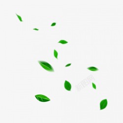 绿色装饰植物叶子元素素材